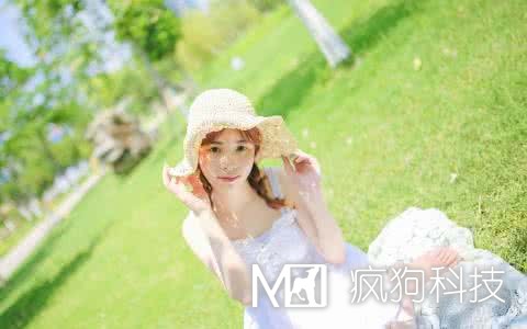 網(wǎng)站SEO優(yōu)化中應該查看哪些數據？