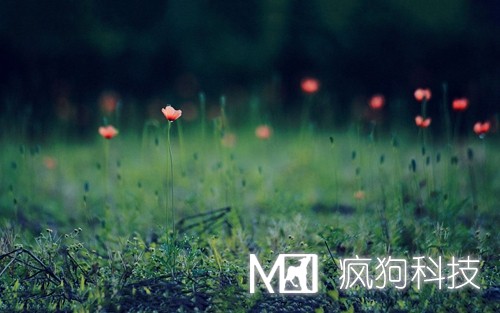 如何提高網(wǎng)站粘度，增加網(wǎng)站回頭客？