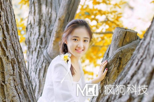 網(wǎng)站優(yōu)化中的死鏈是如何產(chǎn)生的？